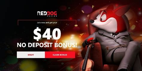 real online pokies no deposit bonus|No Deposit Bonus Codes Australia July 2024 .